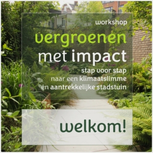 Workshop Vergroenen met Impact